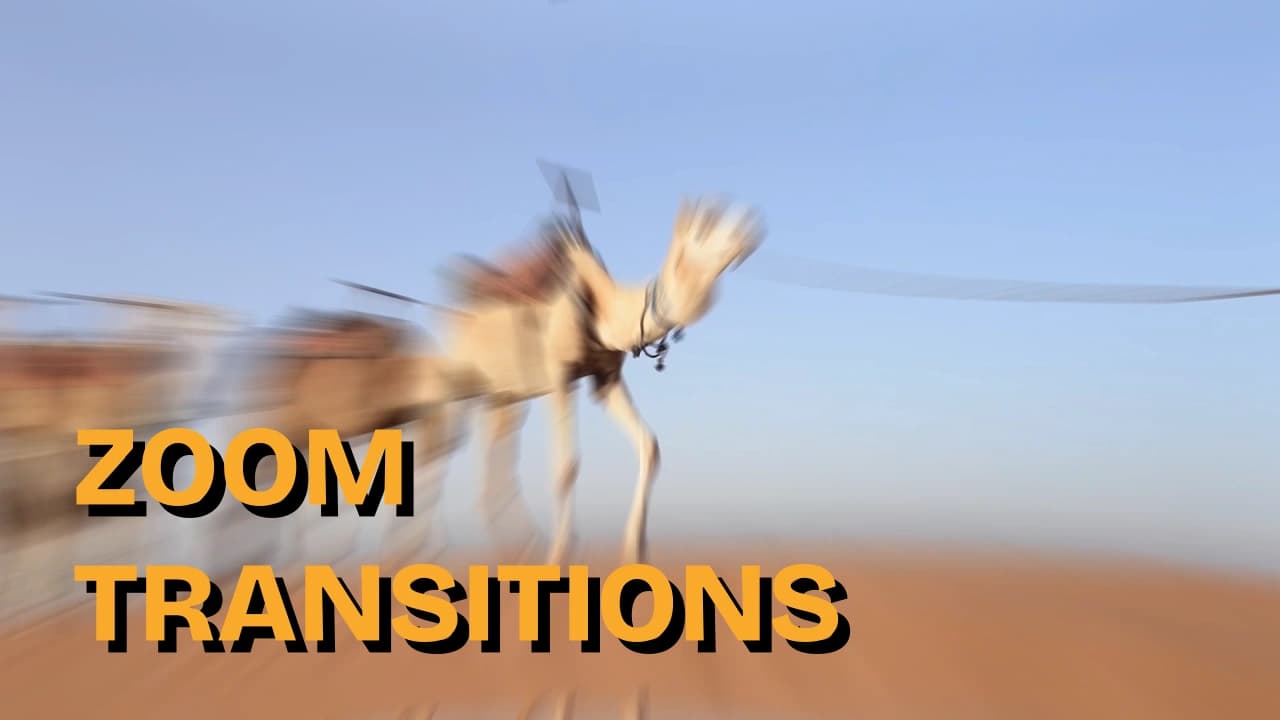 Zoom Transition Pack